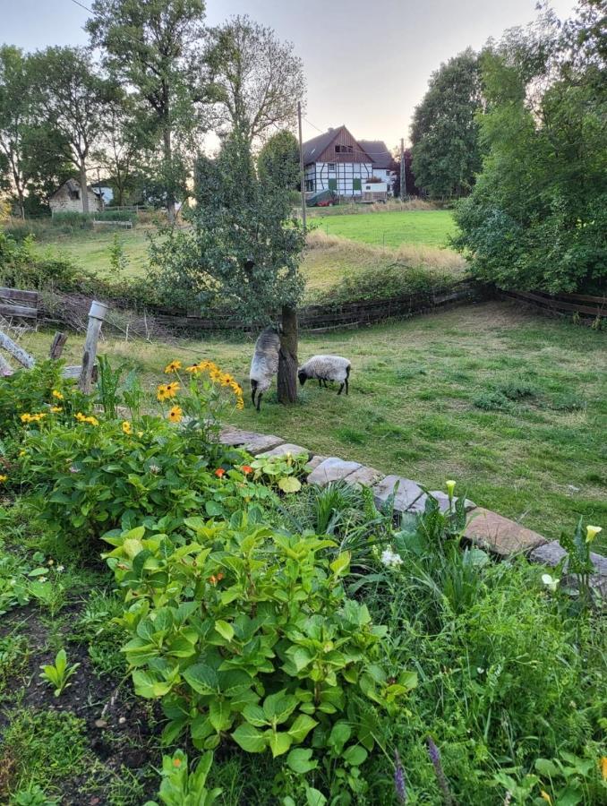 Souterrainwohnung Im Gruenen Witten Buitenkant foto