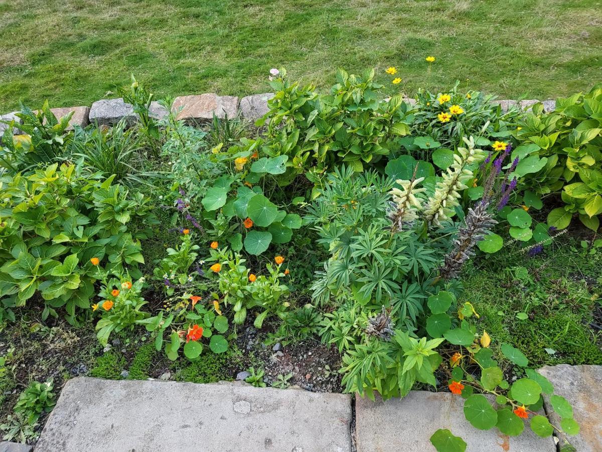 Souterrainwohnung Im Gruenen Witten Buitenkant foto